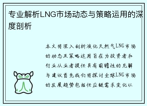专业解析LNG市场动态与策略运用的深度剖析