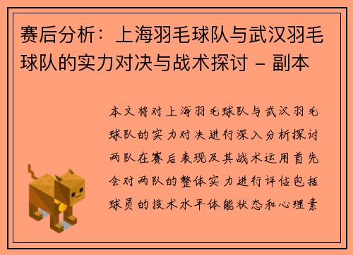 赛后分析：上海羽毛球队与武汉羽毛球队的实力对决与战术探讨 - 副本